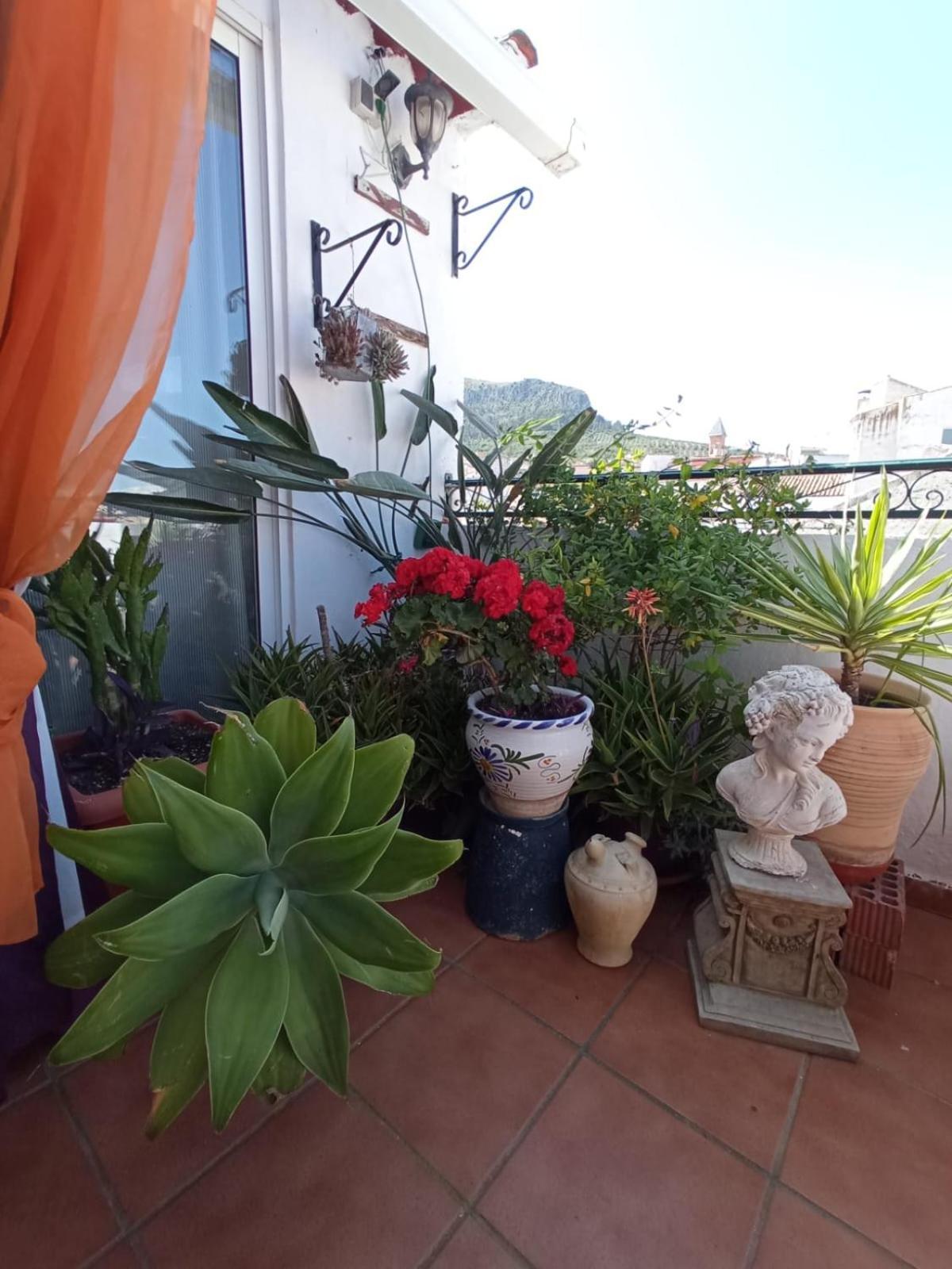 Hostal R-Conecta Cuevas De San Marcos Ngoại thất bức ảnh